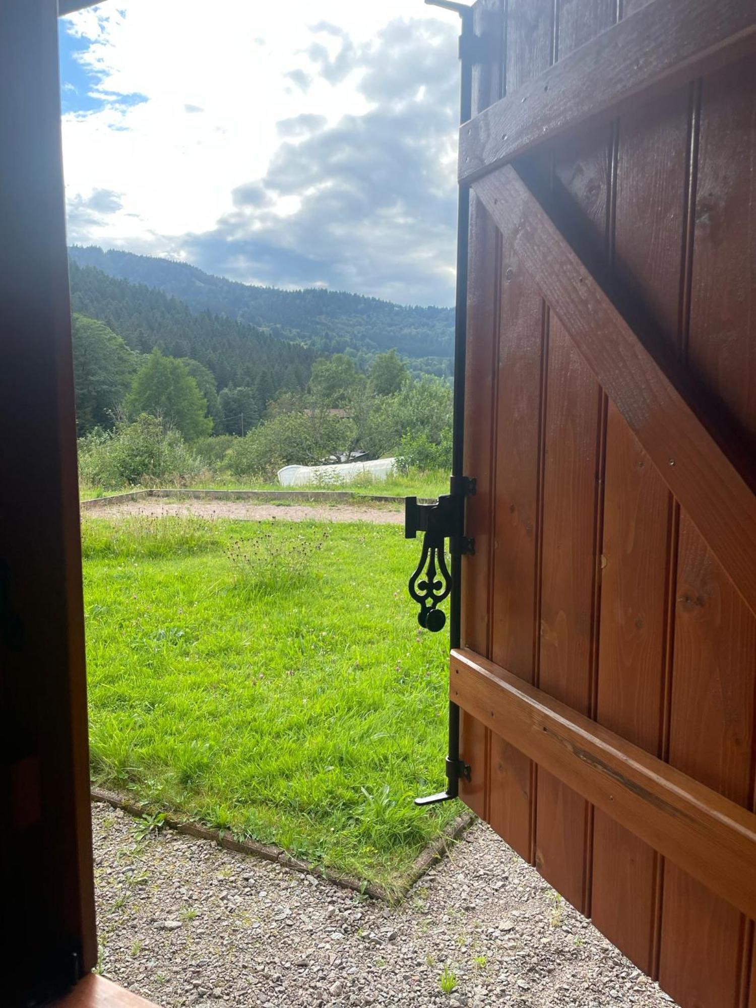 Chalet Notre Retraite Ventron Buitenkant foto